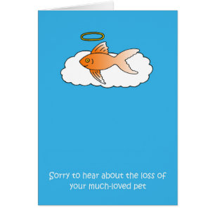 Verlies van sympathie voor gezelschapsvissen