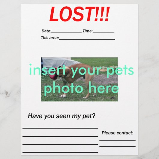 VERLIEST PET FLYER - verticaal (Voorkant)