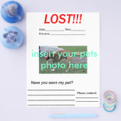 VERLIEST PET FLYER - verticaal (Enkel)