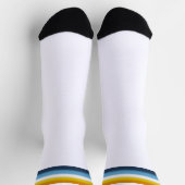 Verloop AroAce Pride-vlag Sokken (Top)