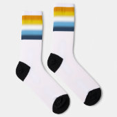 Verloop AroAce Pride-vlag Sokken (Rechts)