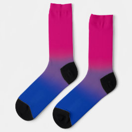 Verloop Regenboog Biseksuele Vlag Sokken