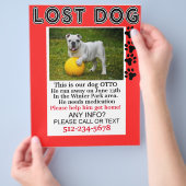 Verloren Dog Flyer Help hem om bericht thuis te kr (Hand)