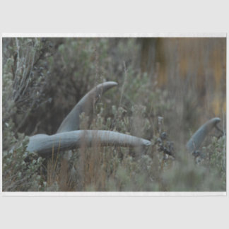 Verloren gewei tissuepapier