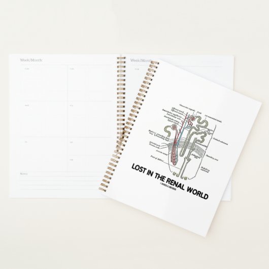 Verloren in de renale wereld planner (Display)