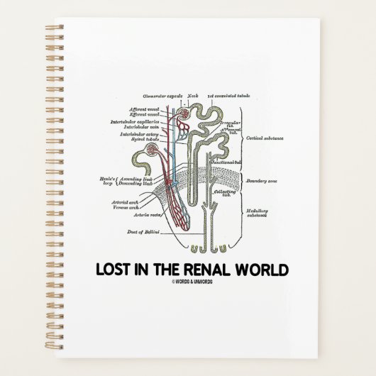 Verloren in de renale wereld planner (Voorkant)