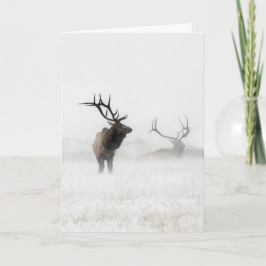 "Verloren in het Storm" Kaart (Voorkant)