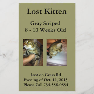 Verloren Kitten Flyer