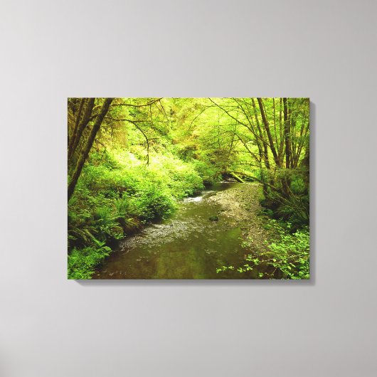 Verloren Man Creek I in Redwood National Park Canvas Afdruk (Voorkant)