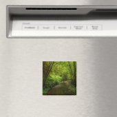 Verloren Man Creek I in Redwood National Park Magneet (Insitu (Vaatwasser))