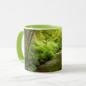 Verloren Man Creek I in Redwood National Park Mok (Voorkant links)