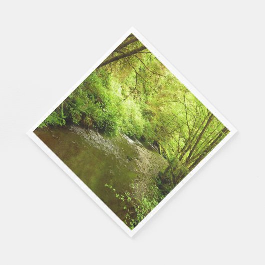 Verloren Man Creek I in Redwood National Park Servet (Hoek)