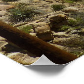 Verloren palms Oasis I in het Nationaal Park van d Poster (Hoek)