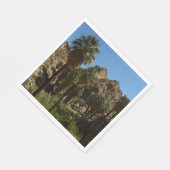 Verloren palms Oasis I in het Nationaal Park van d Servetten (Hoek)