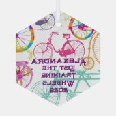 Verloren van de rolweerstand en het jaar glas ornament (Achterkant)