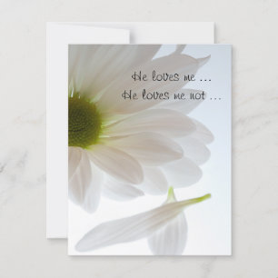 Verloving van White Daisy Petals Aankondiging