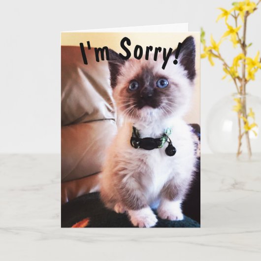 Vermeende verjaardag, het spijt me dat Siamese Kit Kaart (Gele Bloem)