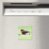 Vermilion Flycatcher - Magnet (In Situ (Lave-vaisselle))