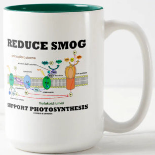 Verminder de Fotosynthese van de Steun Smog Tweekleurige Koffiemok