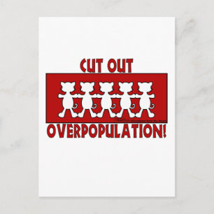 Verminder de overbevolking! Katten Briefkaart