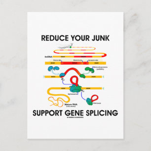 Verminder uw het Gene Splicing van de Steuning van Briefkaart