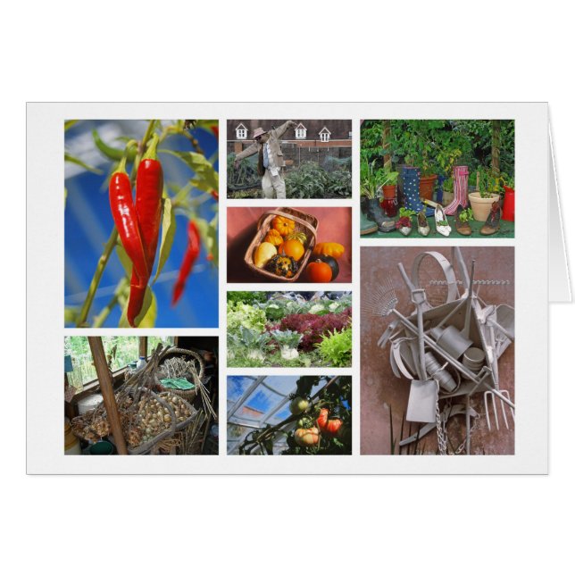 Verminderde kaart (Voorkant Horizontaal)