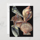 Verminderingen van het Zee Briefkaart (Voorkant / Achterkant)