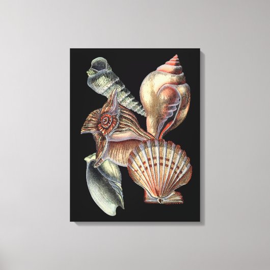 Verminderingen van het Zee Canvas Afdruk (Voorkant)