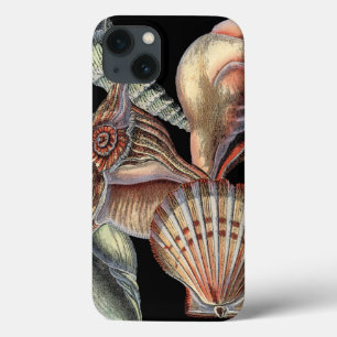 Verminderingen van het Zee iPhone 13 Hoesje