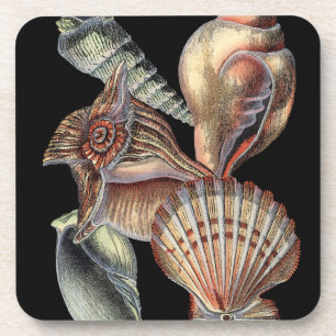 Verminderingen van het Zee Drankjes Onderzetter