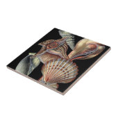 Verminderingen van het Zee Tegeltje (Zijkant)