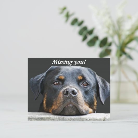 Vermist je! briefkaart (Staand voorkant)