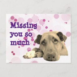 Vermist je droevige hond briefkaart