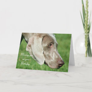 Vermist je op je Birthday Weimaraner Card Kaart