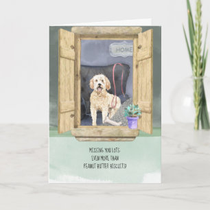 Vermist U Verloren Goldendoodle Hond Kijkend Venst Kaart