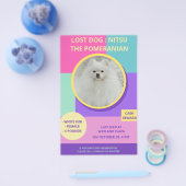 Vermiste Hond Modern Kleurrijk Foto Poster Flyer (Enkel)
