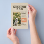 Vermiste hondenvlieger flyer (Hand)