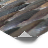 Vermoeide Bengaals witte tijger liggend op de vloe Poster (Hoek)