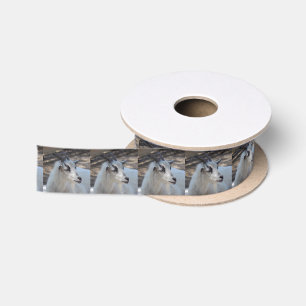 Vermoeide Witte Geit 6941 Lint