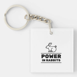Vermogen bij konijnen sleutelhanger