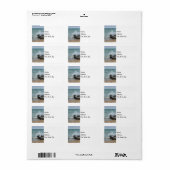 Vermogen van Adresetiketten van het meer Huron Etiket (Full Sheet)