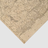 Vermont 5 tissuepapier (Detail)