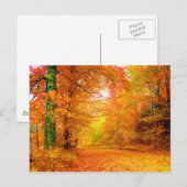 Vermont Autumn Fine Nature Landscape Briefkaart (Voorkant / Achterkant)