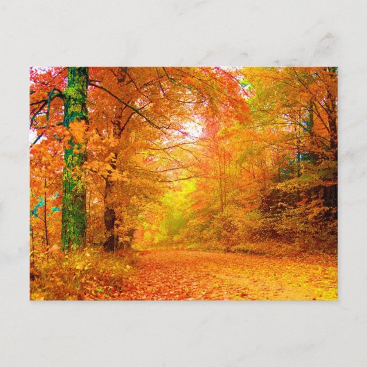 Vermont Autumn Fine Nature Landscape Briefkaart (Voorkant)