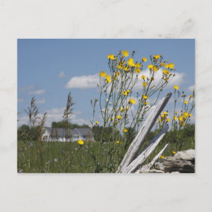 Vermont Country Living Briefkaart