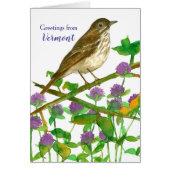 Vermont Hermit Thrush Clover Hello Friend (Devant)