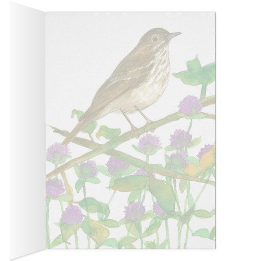 Vermont Hermit Thrush Clover Hello Friend (Intérieur (Droit))