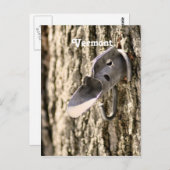 Vermont Maple Tapping Briefkaart (Voorkant / Achterkant)