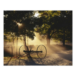 Vermont, Northeast Kingdom, vallend zonlicht Foto Afdruk