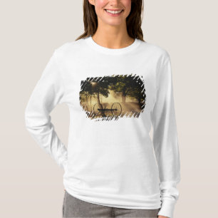 Vermont, Northeast Kingdom, vallend zonlicht T-shirt